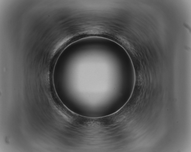 X0000097670535200803071557