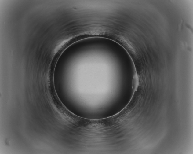X0000097670536200803071557