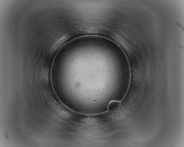 X0000097670537200803071557
