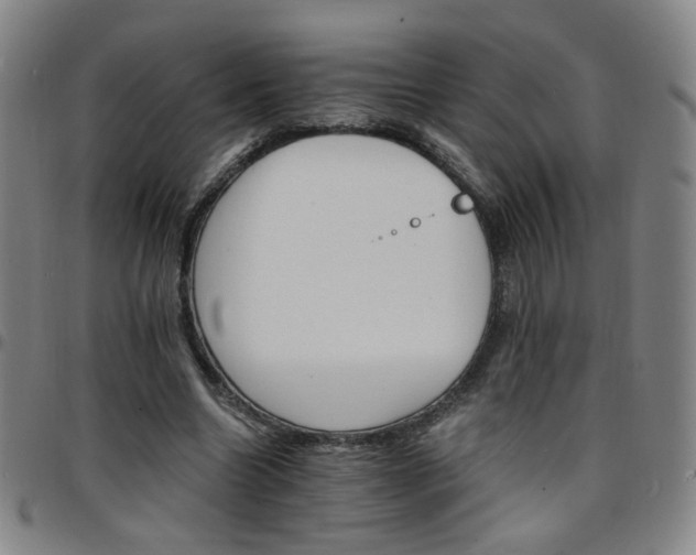X0000097670538200803071557
