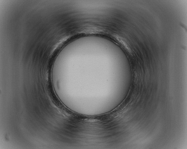X0000097670539200803071557