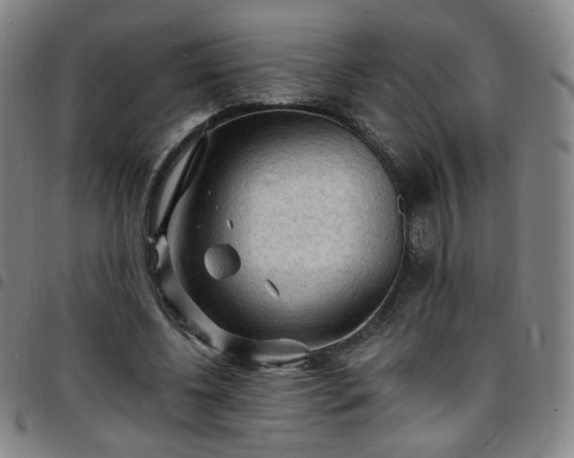 X0000097670540200803071557