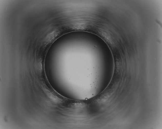 X0000097670541200803071557