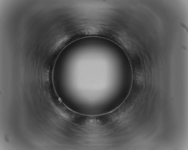 X0000097670543200803071557