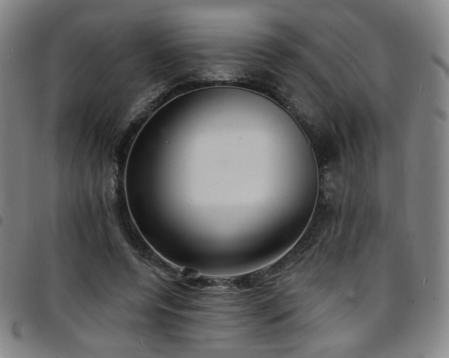 X0000097670544200803071557
