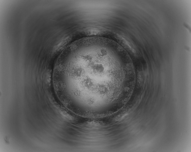 X0000097670545200803071557