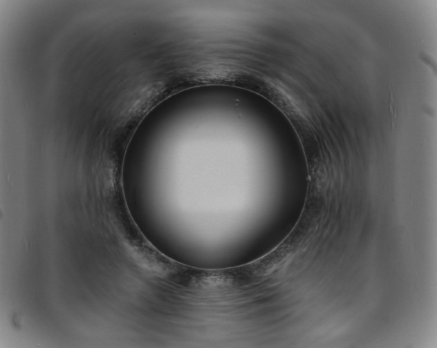 X0000097670546200803071557