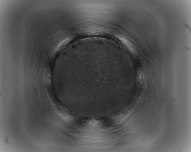 X0000097670547200803071557