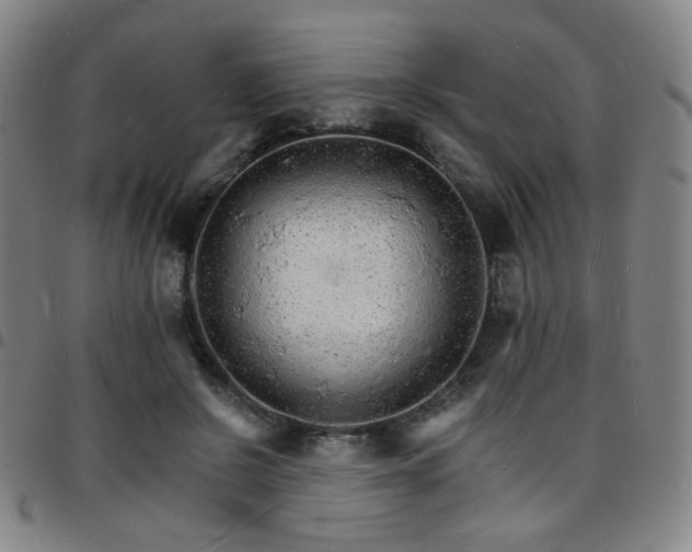 X0000097670550200803071557