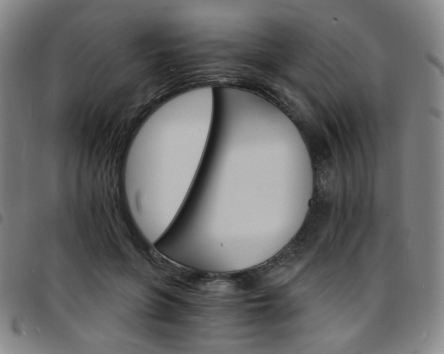 X0000097670551200803071557