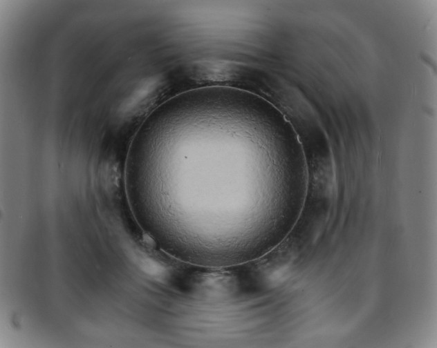 X0000097670555200803071557