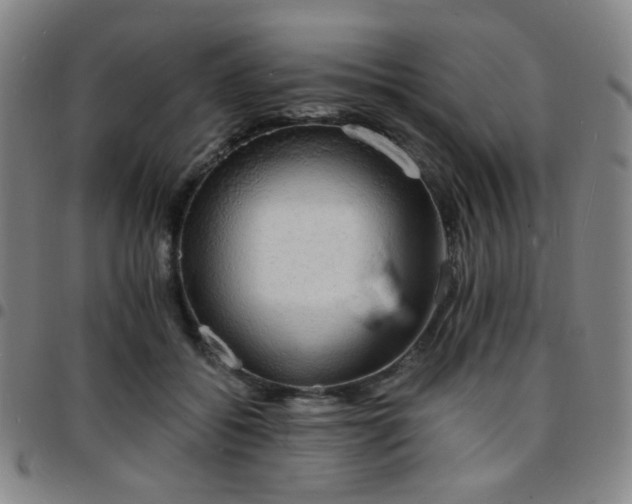 X0000097670556200803071557