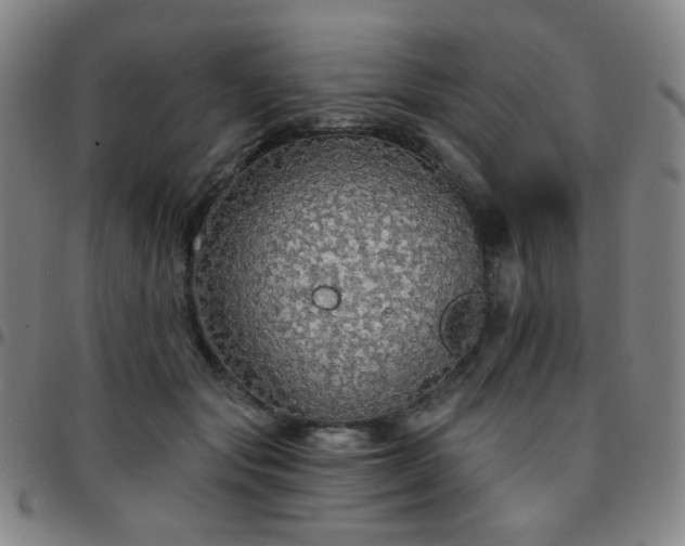 X0000097670557200803071557