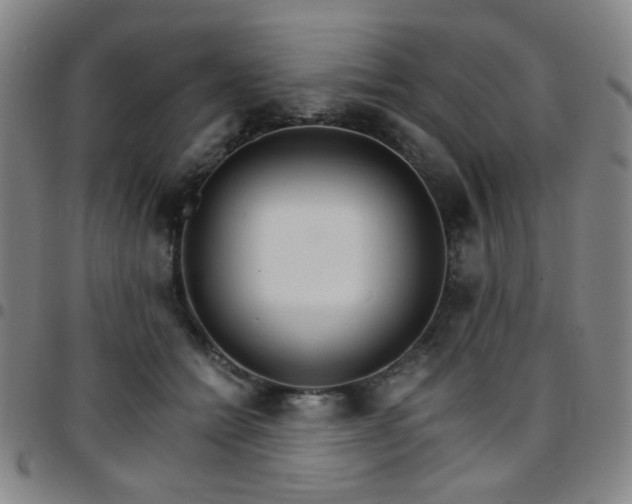 X0000097670558200803071557