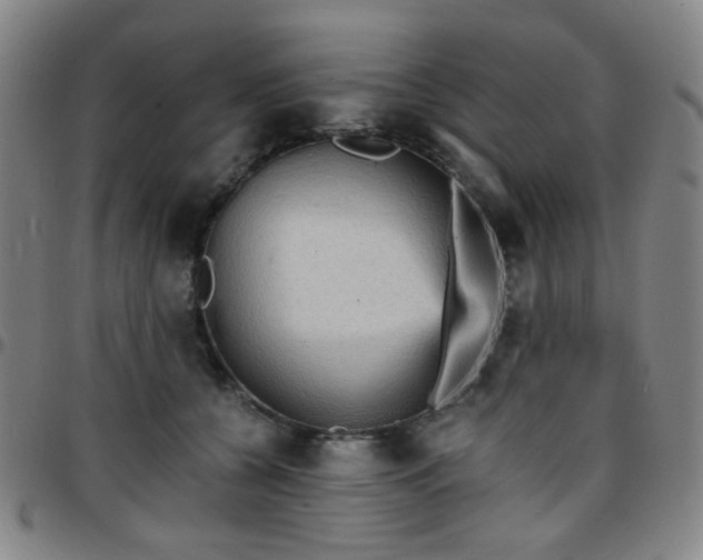 X0000097670560200803071557