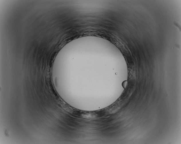 X0000097670561200803071557