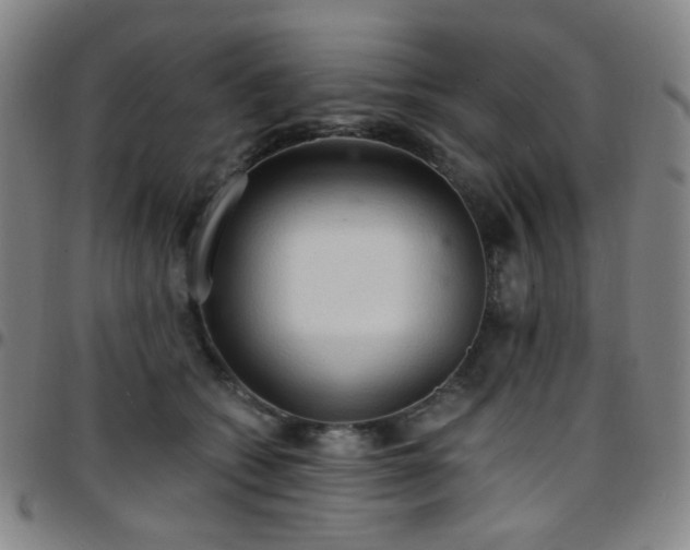 X0000097670562200803071557