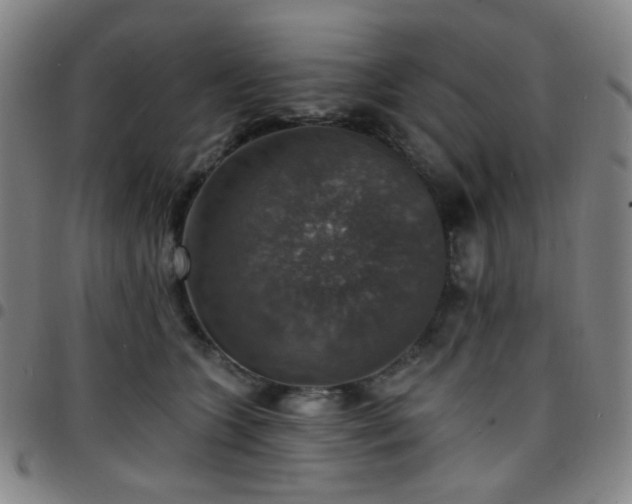 X0000097670563200803071557