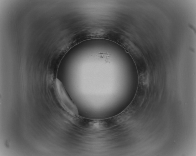 X0000097670564200803071557