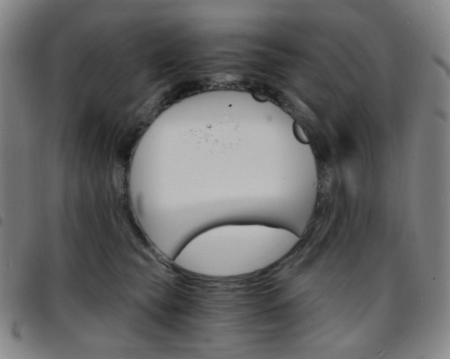 X0000097670565200803071557