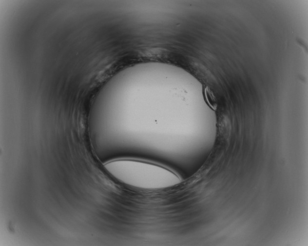 X0000097670566200803071557