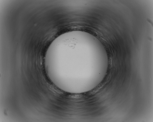 X0000097670567200803071557