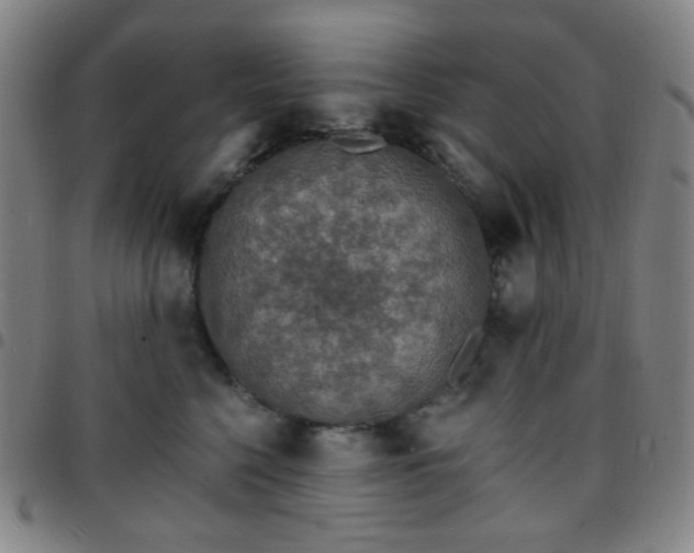 X0000097670568200803071557
