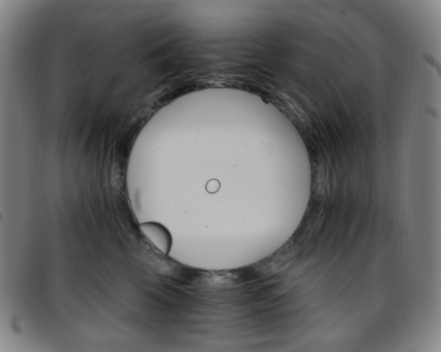 X0000097670569200803071557