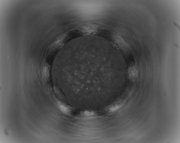 X0000097670570200803071557