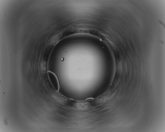 X0000097670571200803071557