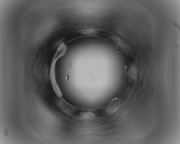X0000097670572200803071557