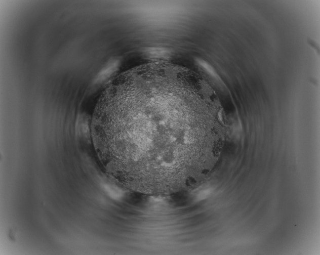 X0000097670573200803071557