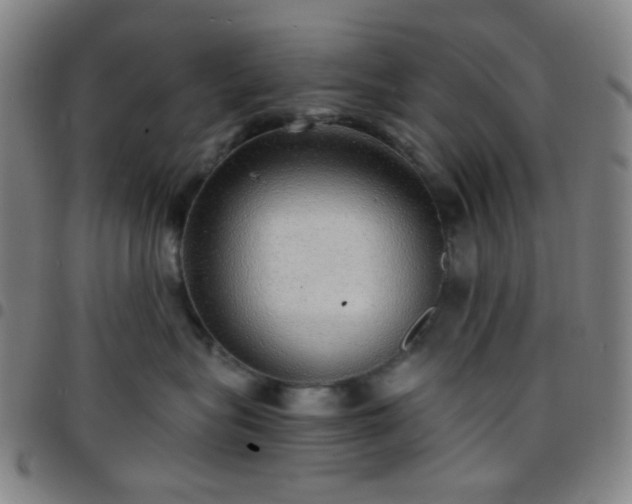 X0000097670575200803071557