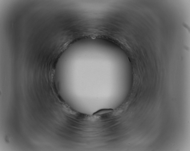 X0000097670576200803071557