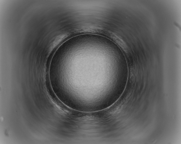 X0000097670578200803071557