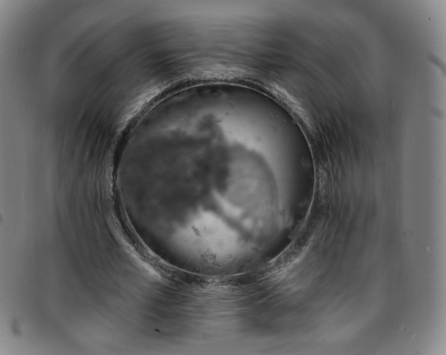 X0000097670581200803071557