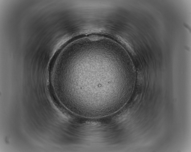 X0000097670582200803071557