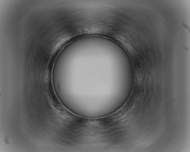 X0000097670583200803071557