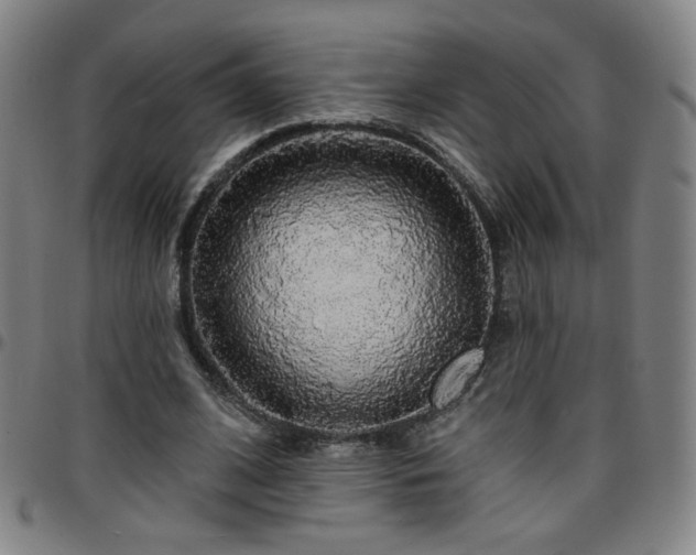 X0000097670584200803071557