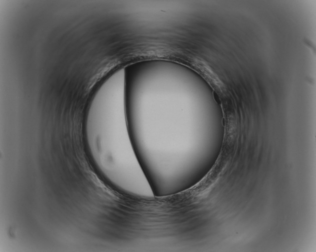 X0000097670585200803071557