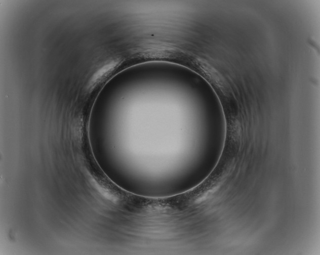 X0000097670586200803071557