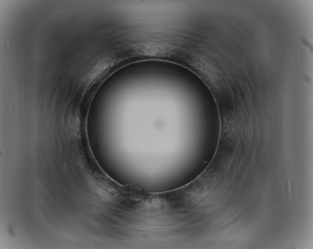 X0000097670587200803071557