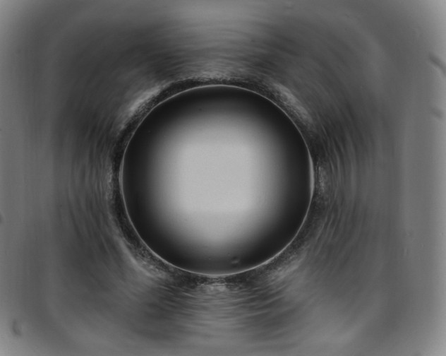 X0000097670588200803071557
