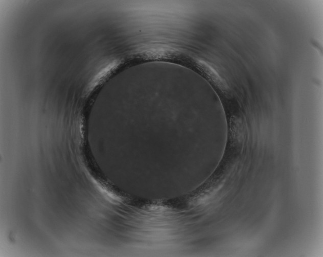 X0000097670590200803071557