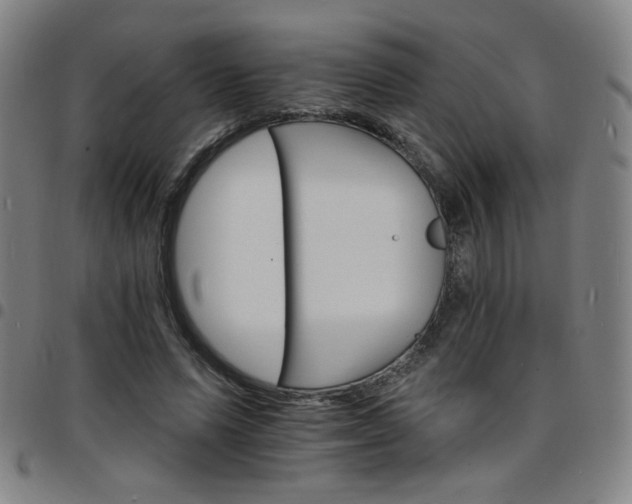 X0000097670591200803071557