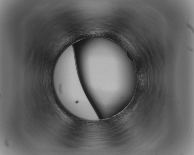 X0000097670593200803071557