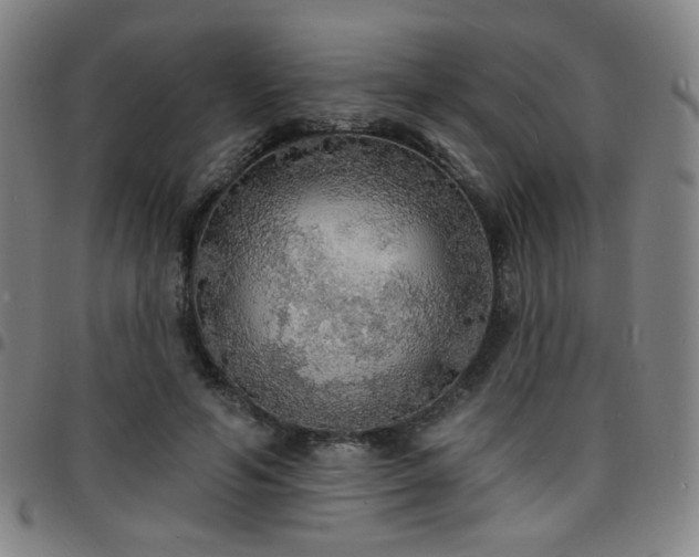 X0000097670594200803071557