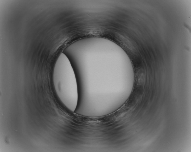 X0000097670595200803071557
