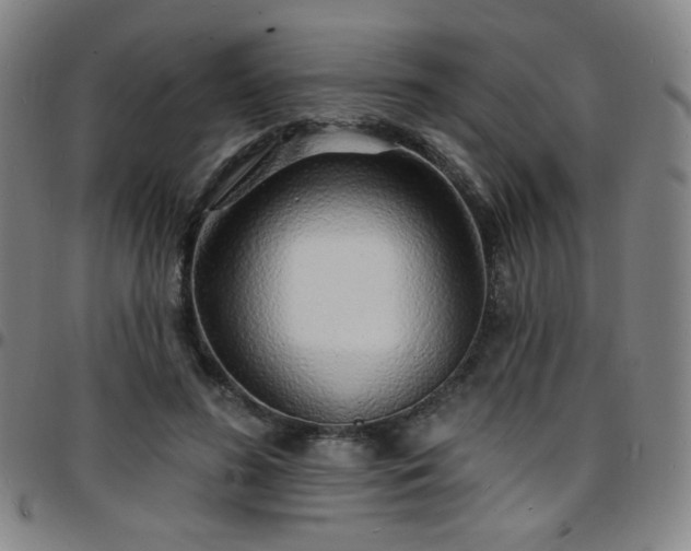X0000097670596200803071556