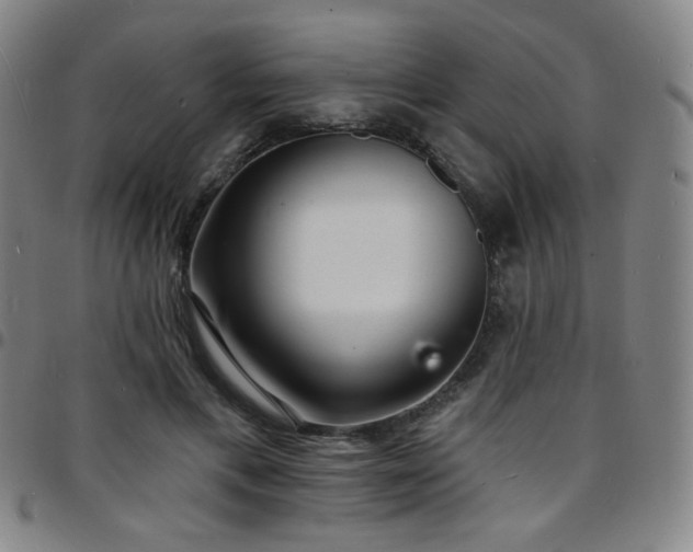 X0000097670597200803071556